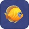 Feeding Fish is a-great game because it have many features and help you to improve your focus and measure it