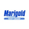 Marigold Ford Lincoln