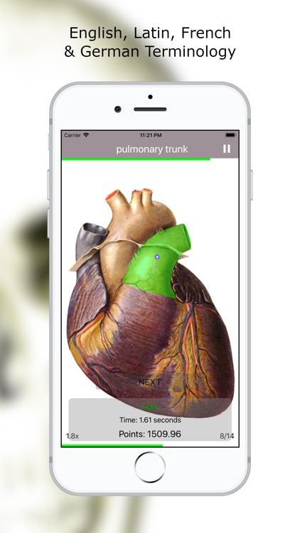 Anatomy Quiz Premium screenshot-3