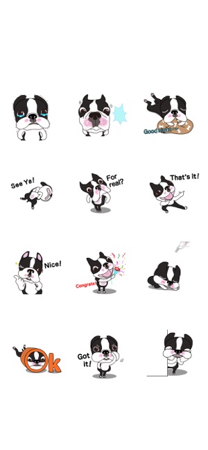 Animated Boston Terrier 1(圖6)-速報App