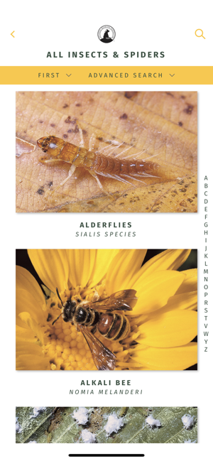 NWF Guide to Insects & Spiders(圖7)-速報App