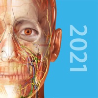 Kontakt Atlas der Humananatomie 2024