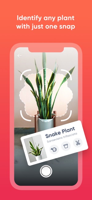 ThePlantMe: 植物識別符(圖1)-速報App