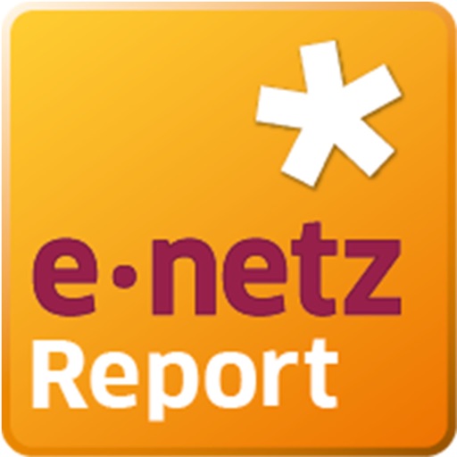 e-netzReport