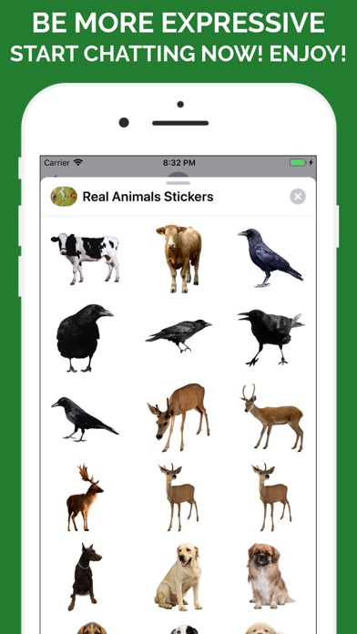Real Animals Emoji Stickers screenshot 3