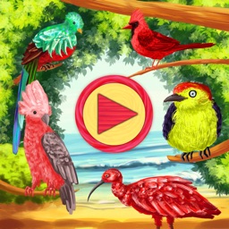 KidsDi: World birds' puzzle