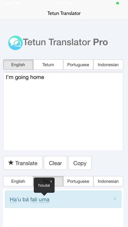 Tetun Translator Pro