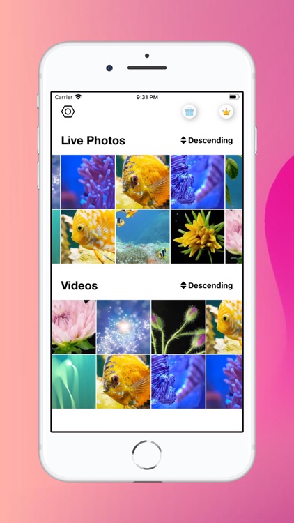 Live Photo Converter . screenshot-0