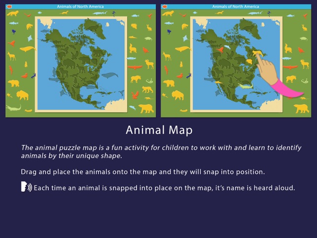 Animals of North America(圖5)-速報App