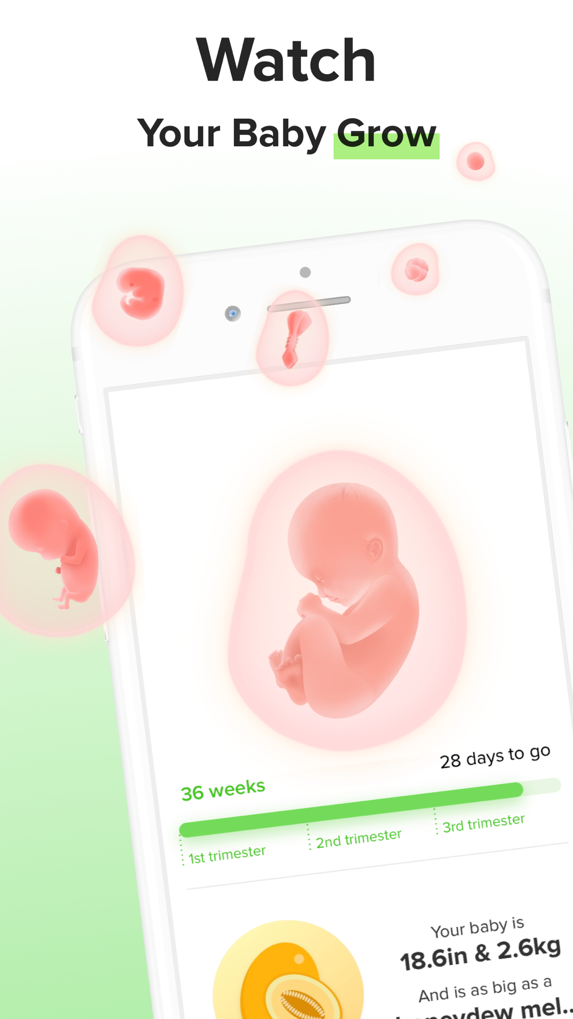 Nurture: Bump + Baby Tracker  Featured Image for Version 