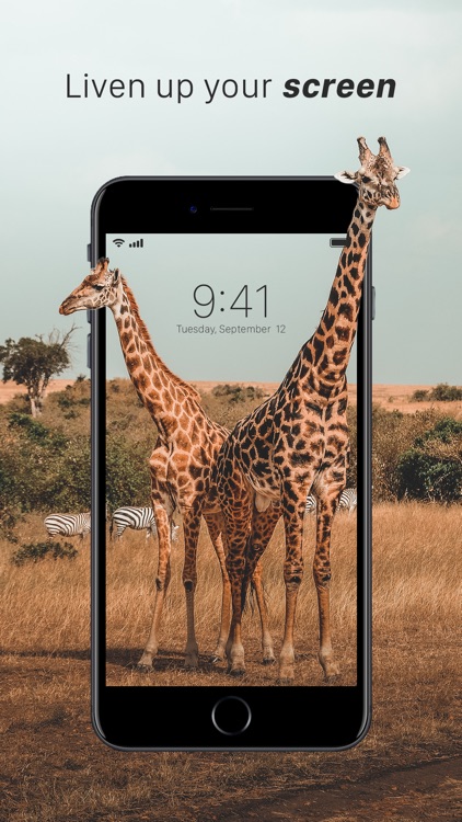 Live Wallpapers.