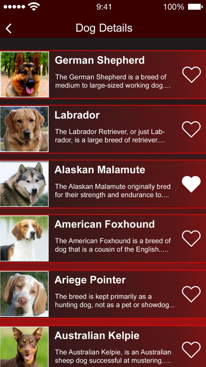 Identify Dog Breeds