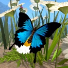 Top 20 Games Apps Like Butterfly Simulator - Best Alternatives