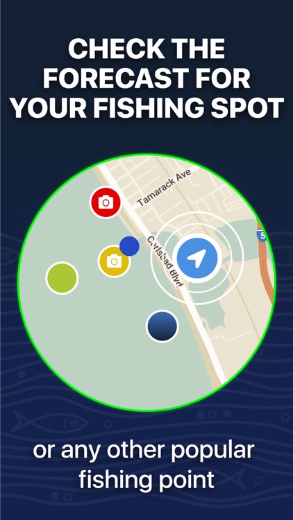 Fishing forecast app: TipTop screenshot-3