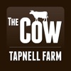 The Cow at Tapnell Farm