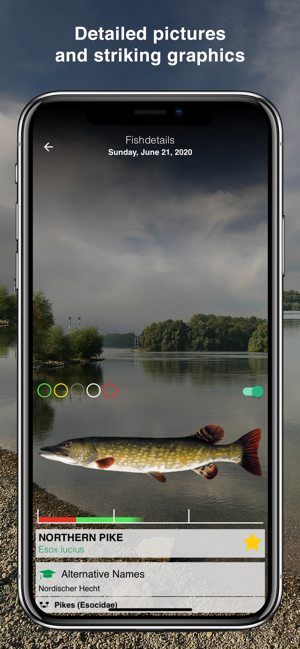 Fishguide Rhineland-Palatinate(圖2)-速報App