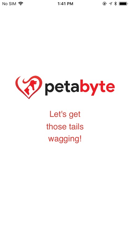 Petabyte - your pet assistant