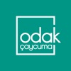 Odak Çaycuma AR Müze