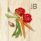100 recipes how to get protein on a vegatarian diet