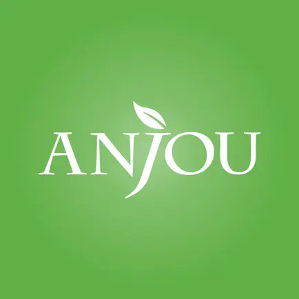 Anjou Читы