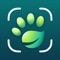 Identify plants, cats, and dogs with a tap of your finger