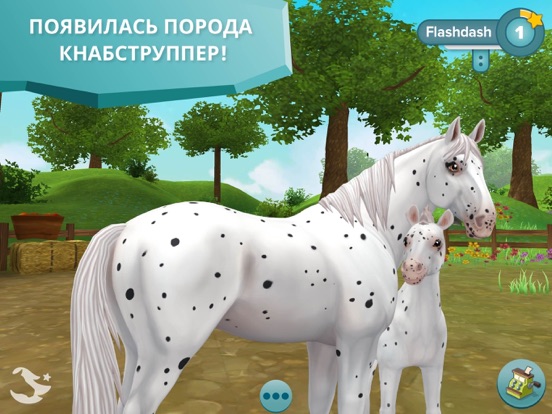 Star Stable Horses для iPad