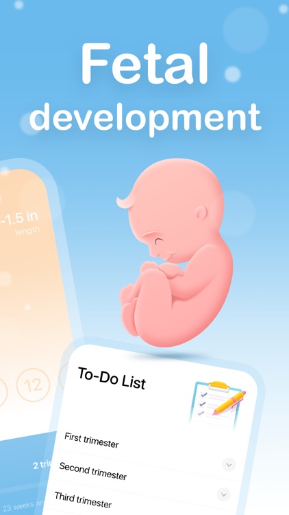 My Pregnancy゜