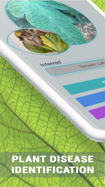 Plant Disease Identifier screenshot-0