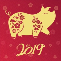 猪年运程-2019最全运程及流年破解大全  PC 용