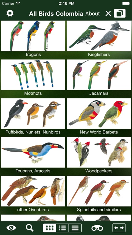 All Birds Colombia field guide