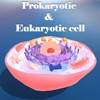 Prokaryotic & Eukaryotic cell medium-sized icon
