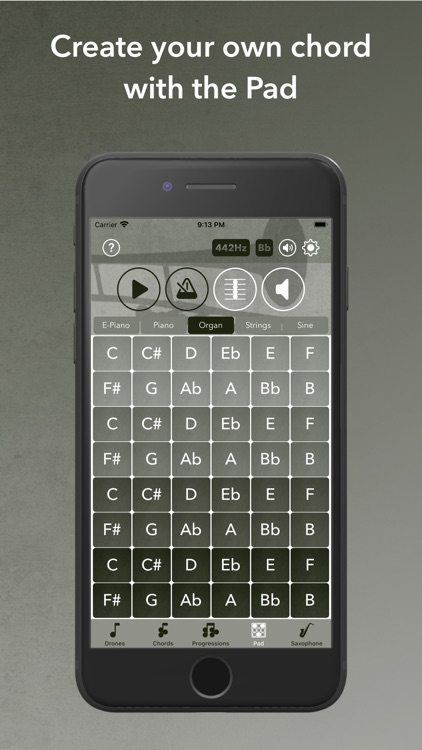 iPracticePro screenshot-0
