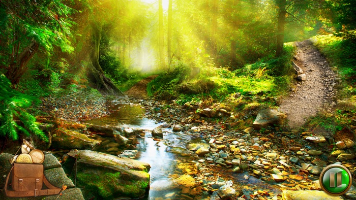 The Lone Survivor - Adventure