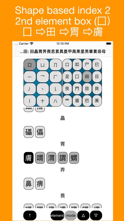 Chinsym lookup system screenshot-6