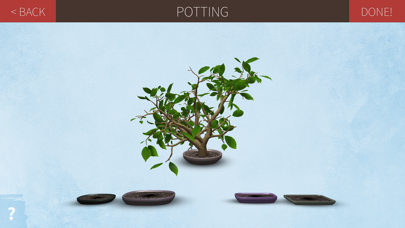 How to cancel & delete Make a Bonsai from iphone & ipad 4
