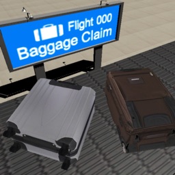 Lost-Baggage