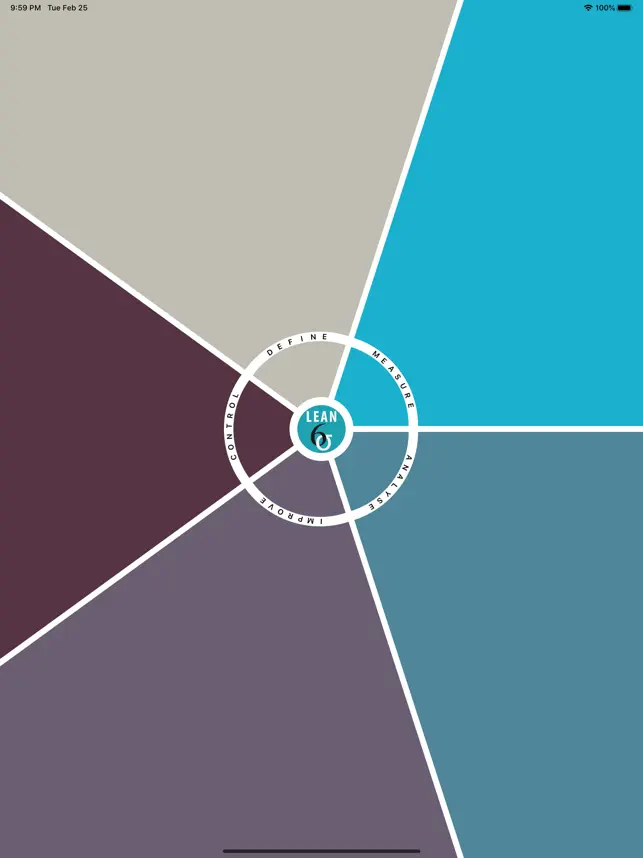 Imatge 1 Lean Six Sigma Companion iphone