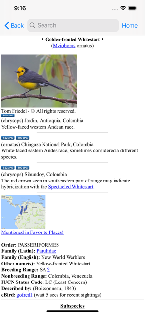 Birdwatching in Colombia(圖6)-速報App