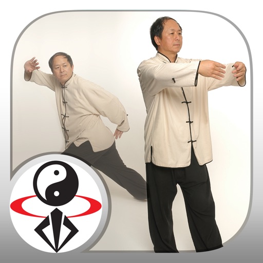 Tai Chi Qigong (YMAA)