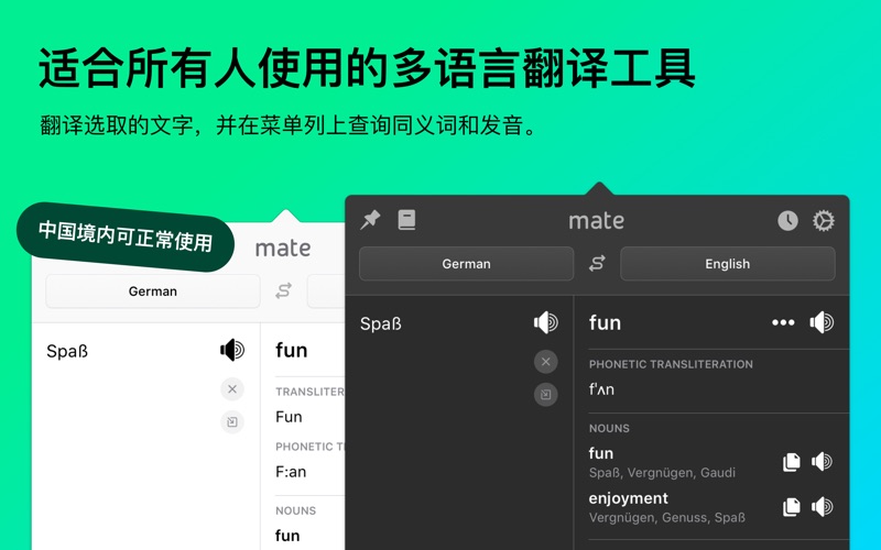 Mate – 多达 103 种语言的翻译神器和词典应用