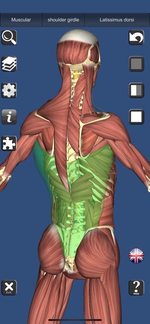 3D Anatomy Learning(圖3)-速報App