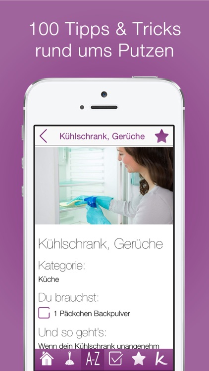 100 Tipps für das Putzen PRO
