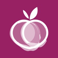  Ish Gourmet Application Similaire