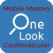 Mobile Mastery allows TBMs to: