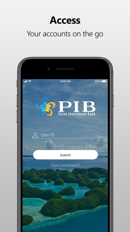 PIB Banking Mobile