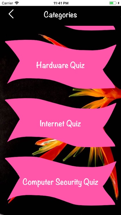 Computer Technology Quiz