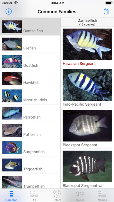 Scuba Fish Hawaii screenshot 8