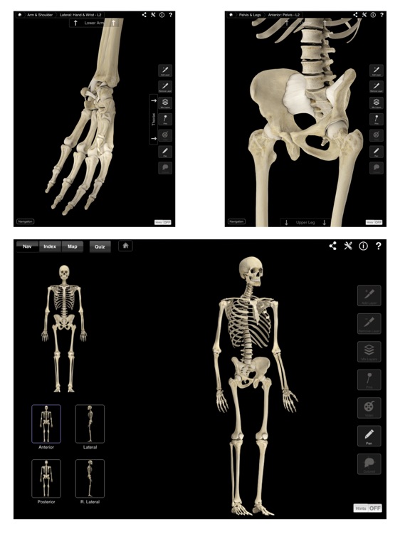 Skeleton System Pro III