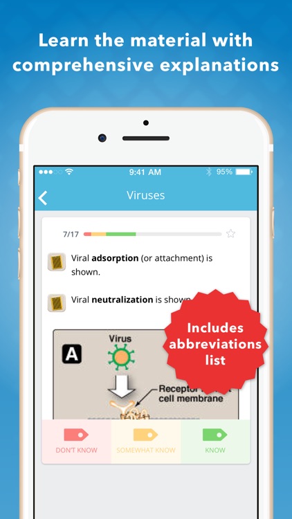 USMLE Microbiology Flashcards