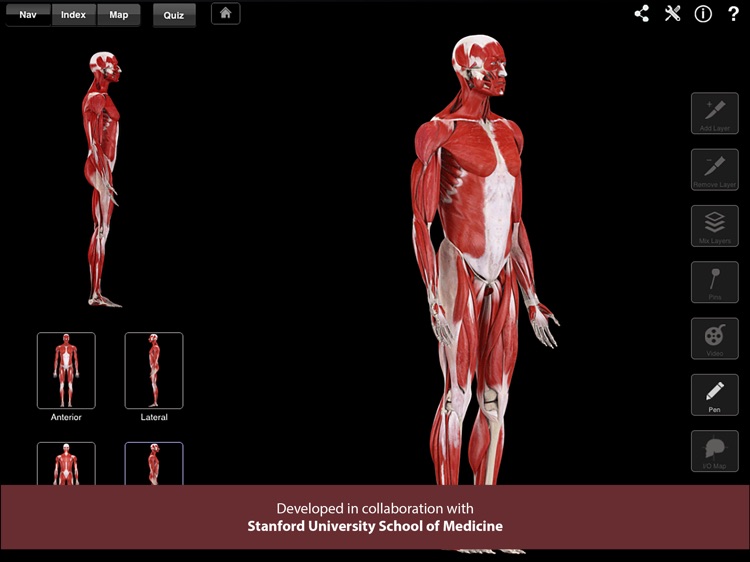 Muscle System Pro III screenshot-0